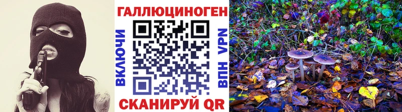 как найти закладки  Сатка  Псилоцибиновые грибы GOLDEN TEACHER 